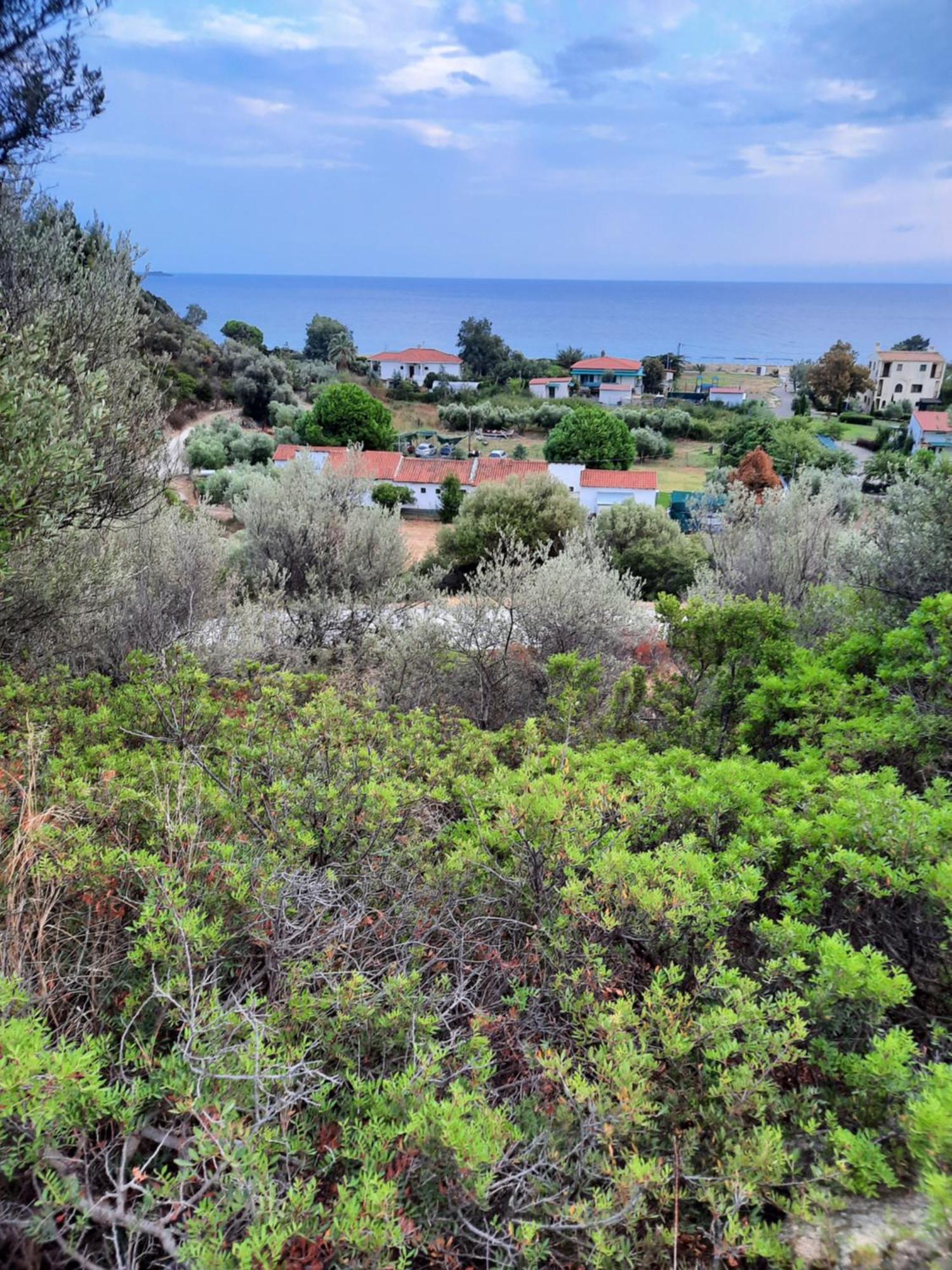 Bungalows Anestis Toróni Kültér fotó