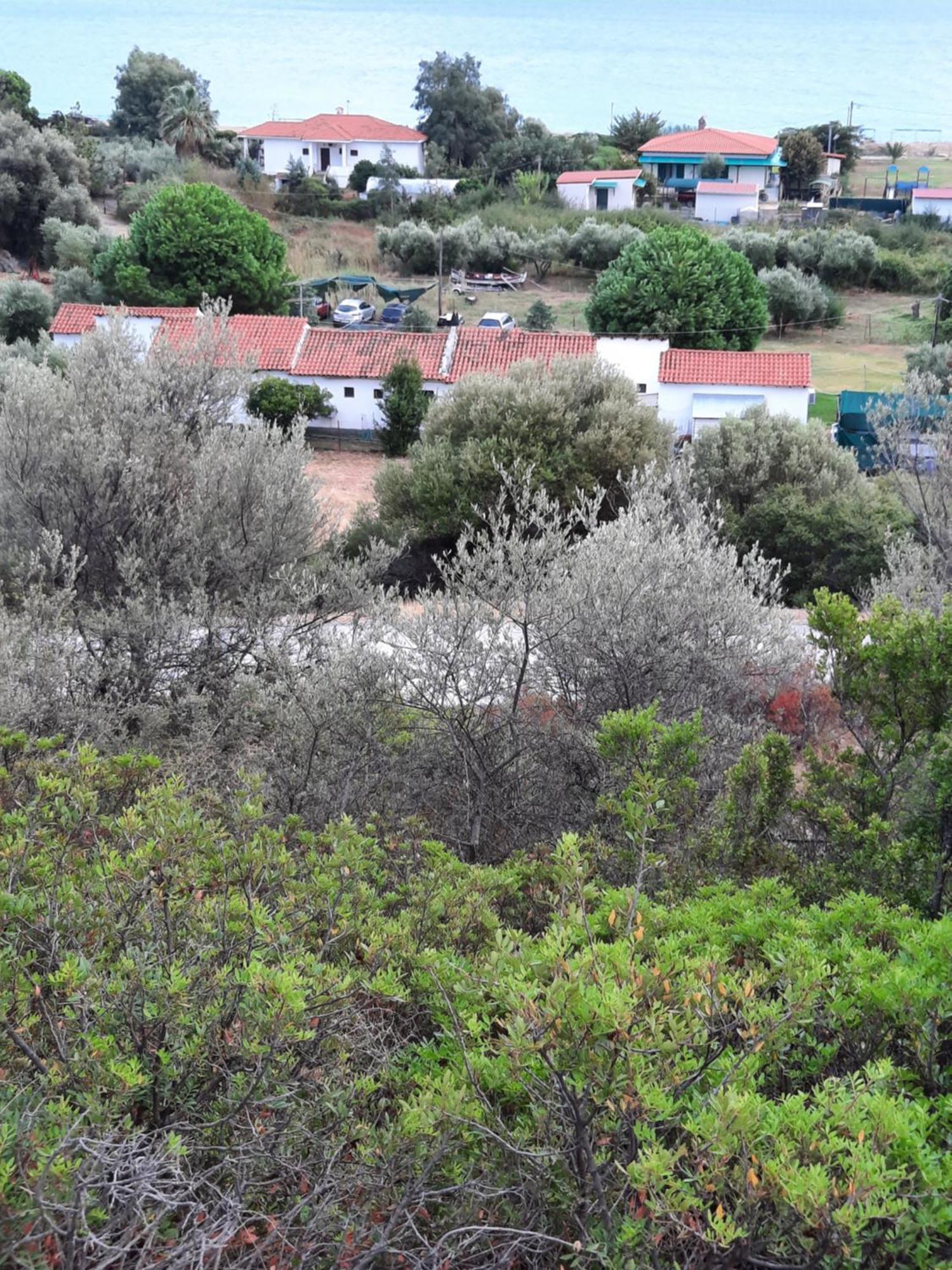 Bungalows Anestis Toróni Kültér fotó